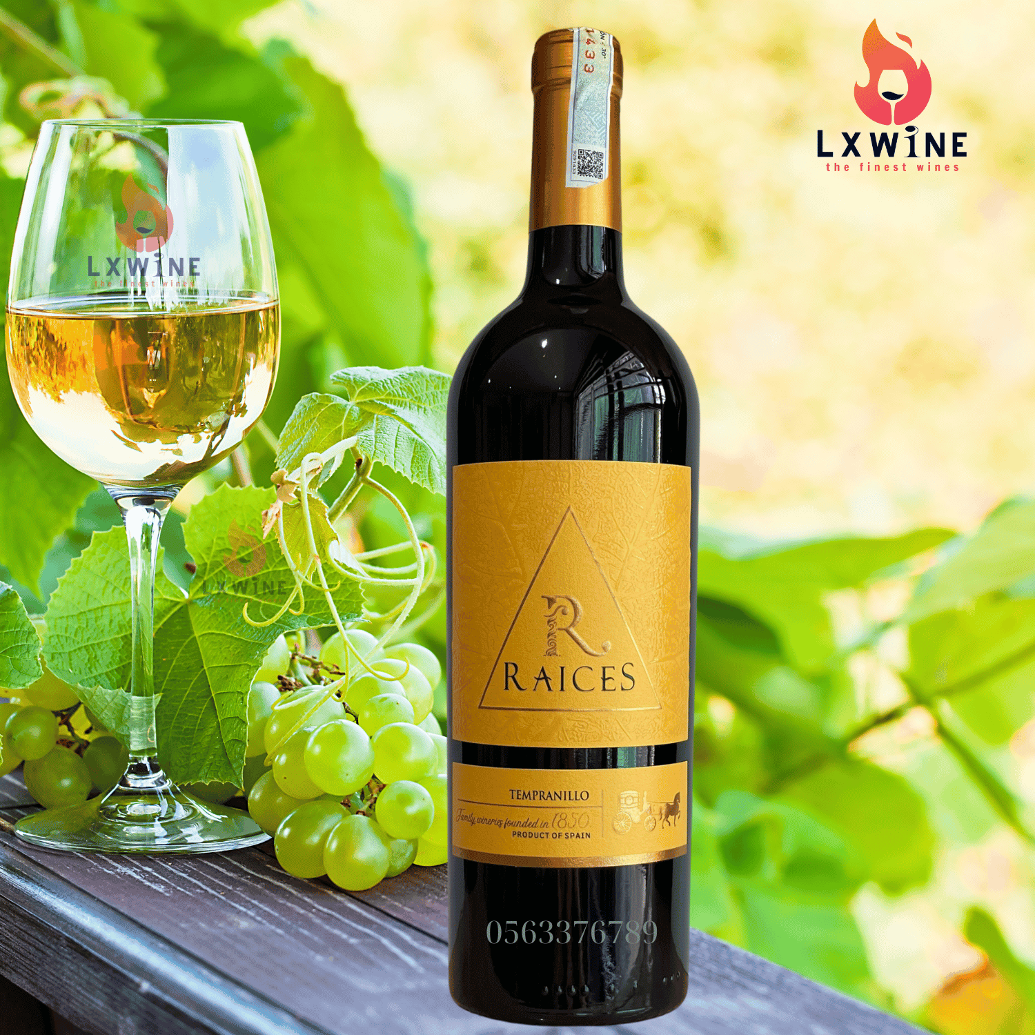 Rượu Vang Đỏ Raices Tempranillo